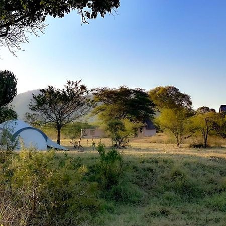 Somkhanda Game Reserve بونغولا المظهر الخارجي الصورة