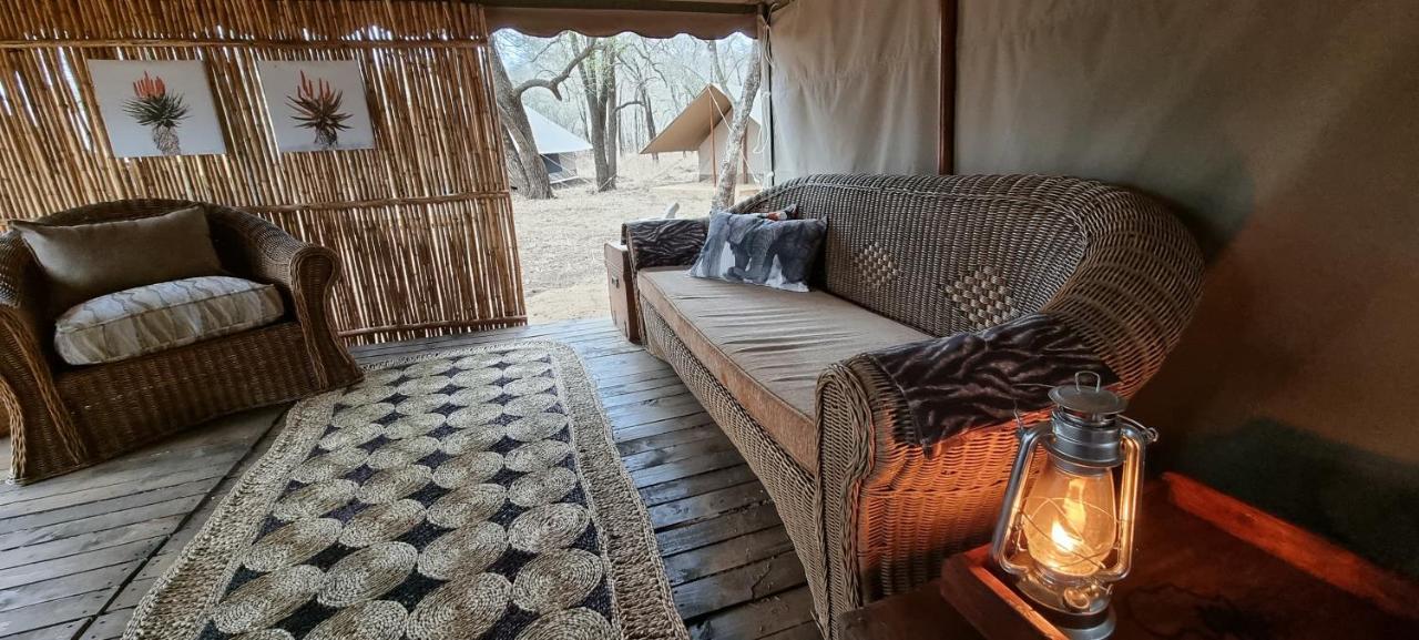 Somkhanda Game Reserve بونغولا المظهر الخارجي الصورة