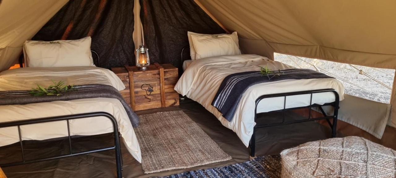 Somkhanda Game Reserve بونغولا المظهر الخارجي الصورة